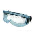 Safety Goggle (10)